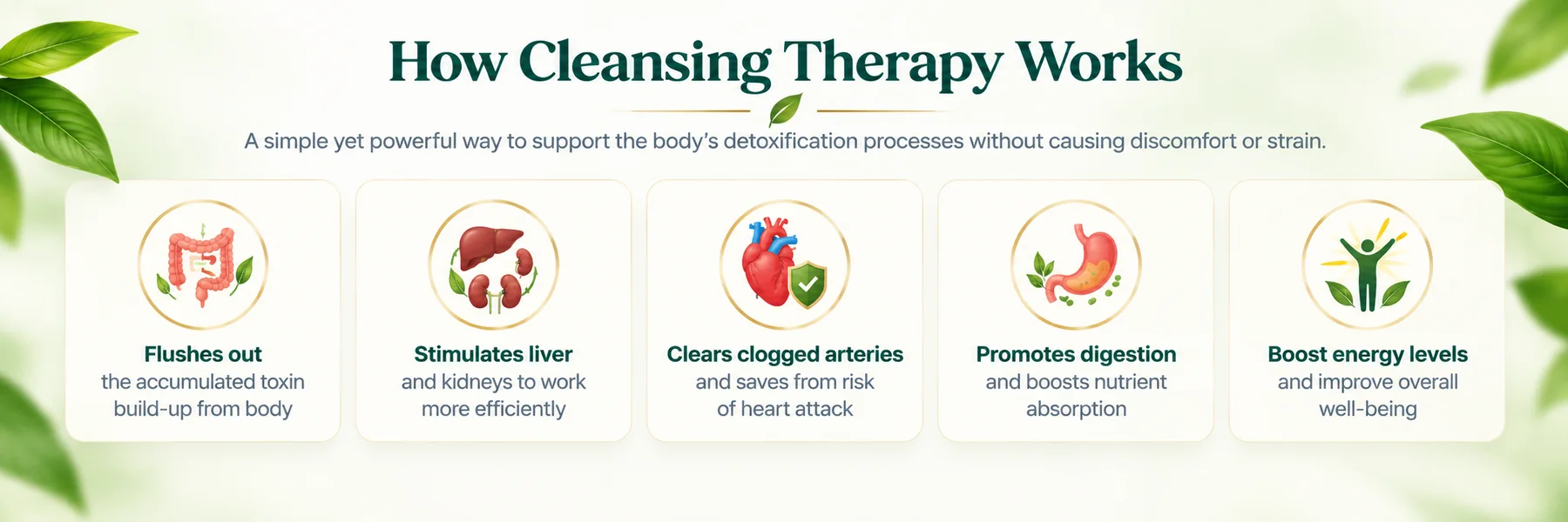 What is Cleansing Therapy