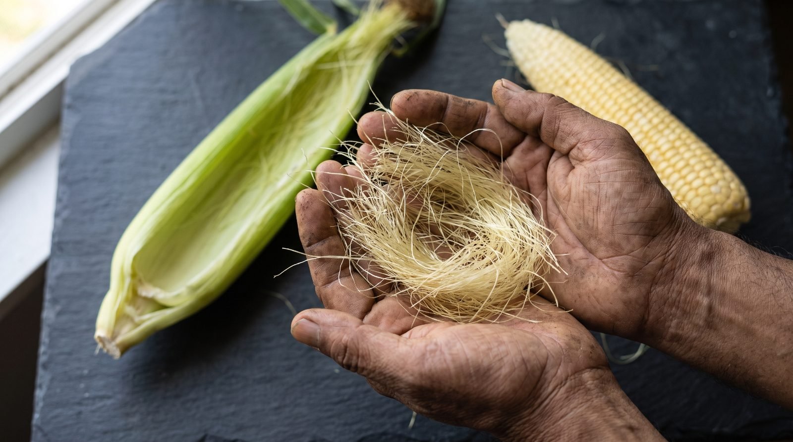 Every corn cob carries a handful of it and almost everyone throws it away. In the kidney cleanse it is the main ingredient — here is what it is and what the evidence actually says.